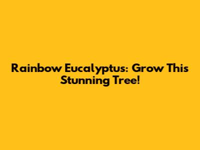 Rainbow Eucalyptus: Grow This Stunning Tree!