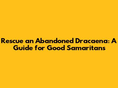 Rescue an Abandoned Dracaena: A Guide for Good Samaritans