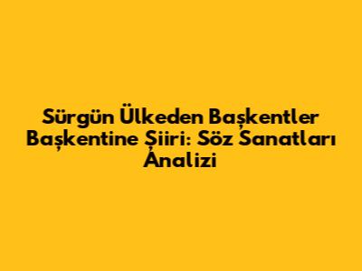 Sürgün Ülkeden Başkentler Başkentine Şiiri: Söz Sanatları Analizi