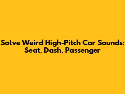 Solve Weird High-Pitch Car Sounds: Seat, Dash, Passenger