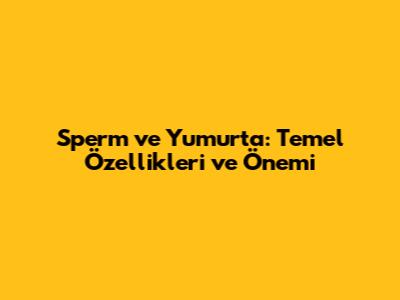 Sperm ve Yumurta: Temel Özellikleri ve Önemi