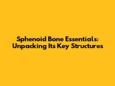 Sphenoid Bone Essentials: Unpacking Its Key Structures