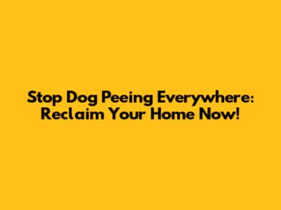 Stop Dog Peeing Everywhere: Reclaim Your Home Now!
