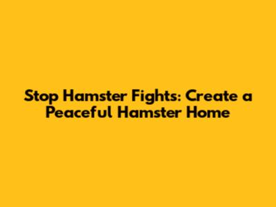 Stop Hamster Fights: Create a Peaceful Hamster Home