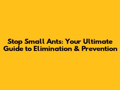 Stop Small Ants: Your Ultimate Guide to Elimination & Prevention