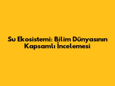 Su Ekosistemi: Bilim Dünyasının Kapsamlı İncelemesi