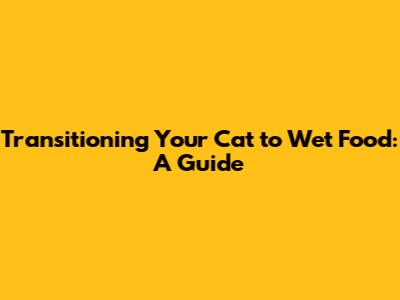 Transitioning Your Cat to Wet Food: A Guide