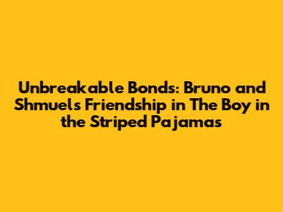 Unbreakable Bonds: Bruno and Shmuel's Friendship in 'The Boy in the Striped Pajamas'