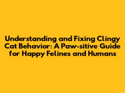 Understanding and Fixing Clingy Cat Behavior: A Paw-sitive Guide for Happy Felines and Humans