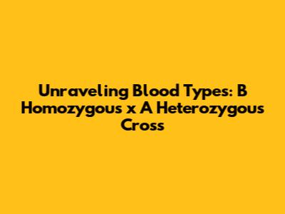 Unraveling Blood Types: B Homozygous x A Heterozygous Cross