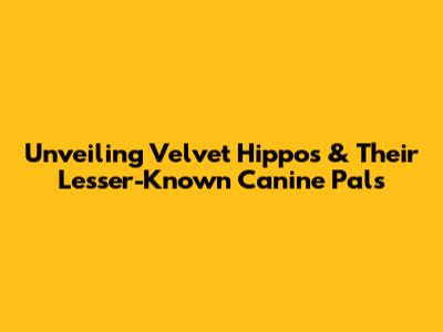 Unveiling Velvet Hippos & Their Lesser-Known Canine Pals