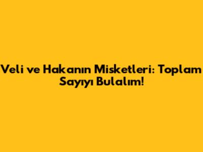 Veli ve Hakan'ın Misketleri: Toplam Sayıyı Bulalım!