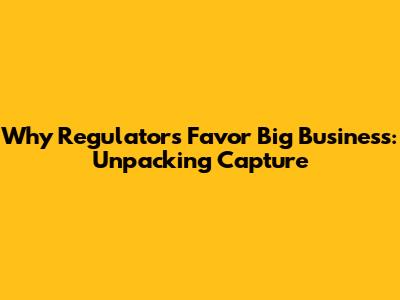 Why Regulators Favor Big Business: Unpacking Capture