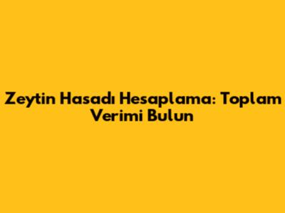 Zeytin Hasadı Hesaplama: Toplam Verimi Bulun