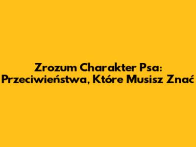Zrozum Charakter Psa: Przeciwieństwa, Które Musisz Znać